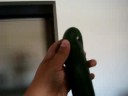 CUCUMBER SMALL LOT#8116 JAMMS FAMRS CUCUMBER SMALL LOT#8116 JAMMS FAMRS