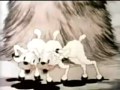 La Charanga.mov