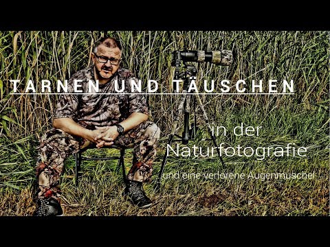 Naturfotografie: Tarnen und Täuschen :: von Foto-Blende