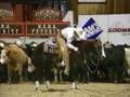 2000 NCHA Open Futurity Champion