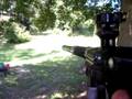 Black SFT shocker