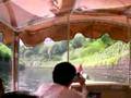 神田川動画17