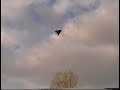 RC F117 Nighthawk aircraft