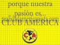 los mejores goles de america a las chivas!!!