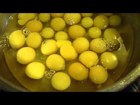 how to fertilize chicken eggs