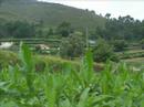 Paisagens do lugar de Além