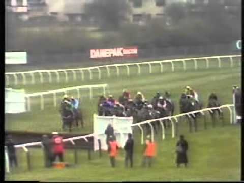 cheltenham race