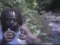 A River Bath in Dominica