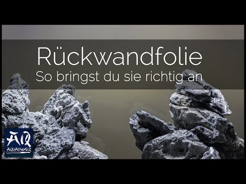SO BRINGST DU EINE RÜCKWANDFOLIE AN | Hintergrundfolie für dein Aquarium | AquaOwner