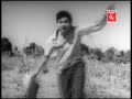Very meaningful song from Bhupathi Ranga Kannada film from Annavru