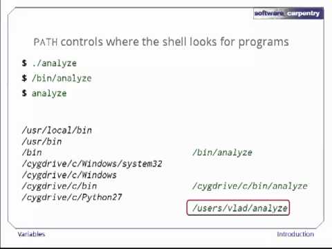 shell variables