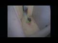 Victoria Police Tether Teen
