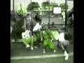 NEW Jerkin music!! hott jerkin song-A klic- We at the function- Jerk ijerk,teach me how to jerk