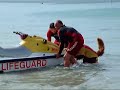 Bilbo the lifeguard dog - Sennen Cove