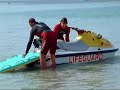 Bilbo the lifeguard dog - Sennen Cove