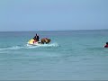 Bilbo the lifeguard dog - Sennen Cove
