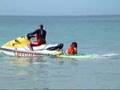 Bilbo the lifeguard dog - Sennen Cove