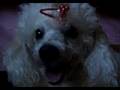 videos de princess uclaray