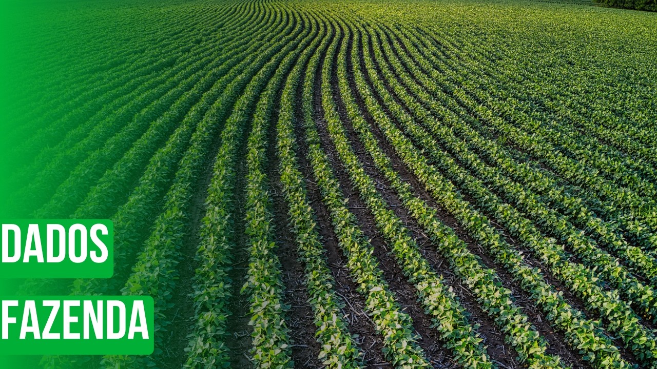 Dados Fazenda – MA na palma da mão