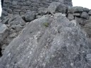 En Machupicchu
