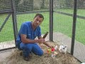 Watch the Rabbit Exercise Video