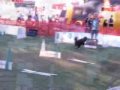 Talin 1st flyball competition
