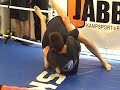 Täby Submission Wrestling - Lillen Täby Submission Wrestling - Lillen