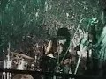 Babasonicos. Satiro (vivo)