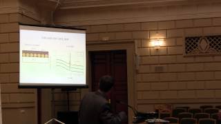 Dr. Leonid Dolgov (Estonia) on NANO2014 conference, Nanotwinning project | IOP