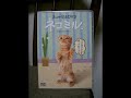 猫の行動（３）.wmv