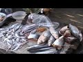 isaan markets isaan markets
