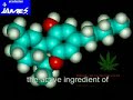 1/2 conspiration contre le cannabis  english subtitles 