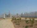 Villa Abu B.