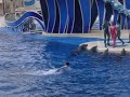 seaworld