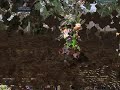 A short video of the Game Rohan Online, demonstrating my character. I'm not the best out there, but I can be a beast when the mood calls for it. Set to the song of Blackened by Metallica. Nothing here is owned by me and does not reflect upon Metallica or the makers of Rohan Online. Edit: Didn't realize youtube would lower the quality so much the text would be indecipherable. Anyway My Equipment is as follows. - Armor of Graham all refined down to level 30. - Noob Accessories - Blood dirk with a +15 to Agility bonus. My criticals are actually a bit higher than you see due to my Invenom skill adding damage bonuses. The average bonus is around 300-450 Damage.