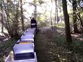 Treinen in Nienoord