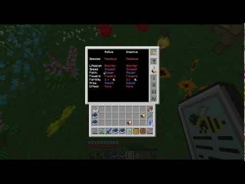 Bee Master with FallenDice Episode 2