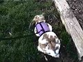Oliver hoppin\ Oliver hoppin\