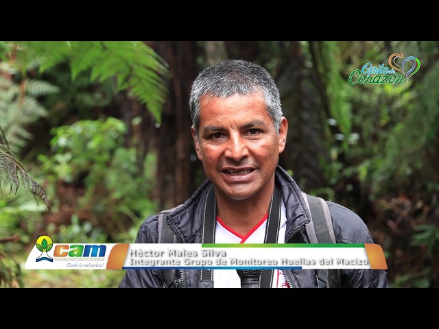 Sendero de la Danta, un espacio para el monitoreo y la educación ambiental
