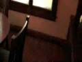 videos de Glen Ellynâs Warwood Farm