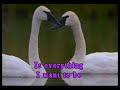 karaoke   roxette   milk and toast and honey