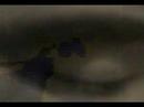Thumbnail #2