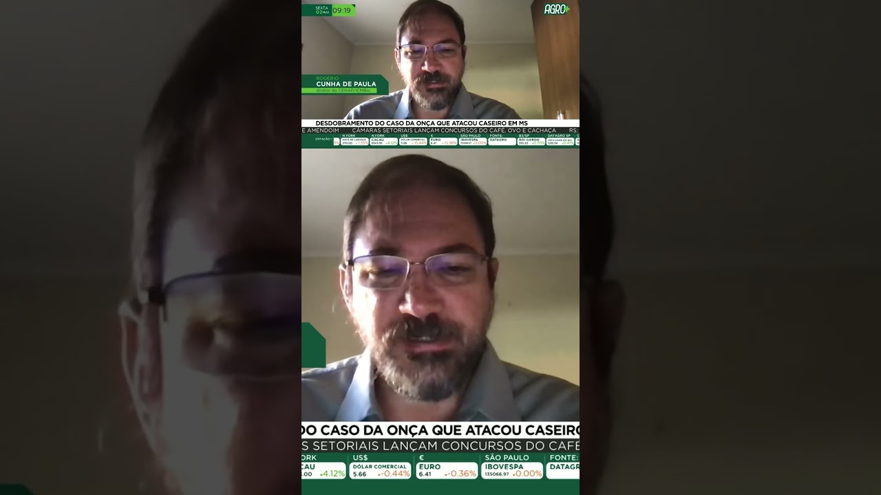 Desdobramento do caso da onça que atacou caseiro em MS