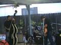 videos de cochina kings