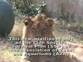 The Ellen Trout Zoo has 2 new exciting announcements The Ellen Trout Zoo has 2 new exciting announcements