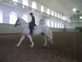 The Royal Horses of Christiansborg 2007 The Royal Horses of Christiansborg 2007