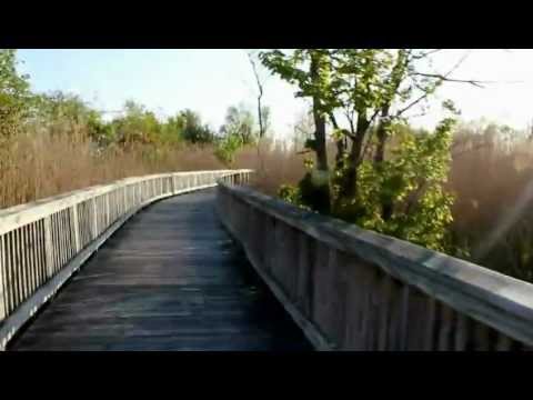 Claire D. McIntosh Wildlife Refuge – May 12, 2012
