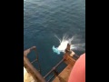 Jim's Plunge