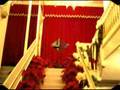 Assistir ao v�deo