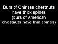 Chinese Chestnut Identification Chinese Chestnut Identification